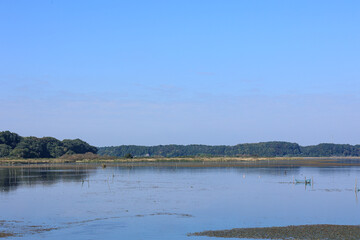 印旛沼の青空快晴風景