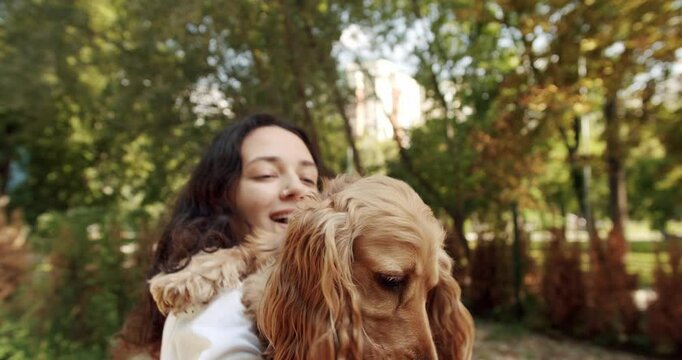 Happy woman hugs and have fun with cocker spaniel dog, Woman playing with her dog. hugs, kiss and pose nicely. Human animal friendship. English cocker spaniel rests outdoors. young pretty animal