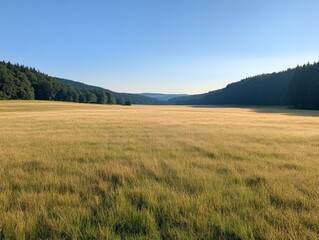 Obraz premium Morning Dew on Trails in the Landscape Scenic View of Nature's Serenity