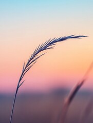 Morning Dew on Trails Nature Photography Serene Landscape Close-Up View