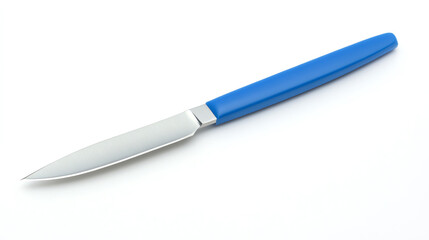 Fototapeta premium Kitchen knife with blue handle isolated on white background
