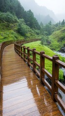 Fototapeta premium Morning Dew Trails Along a Serene River Path in Nature's Embrace