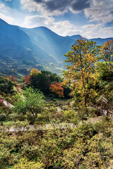 Terraced Fields and Autumn Scenery in Mountainous Areas of Anhui Province, China