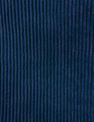 Corduroy fabric photographed close-up, prominent texture, suitable for clothing, bags, backgrounds