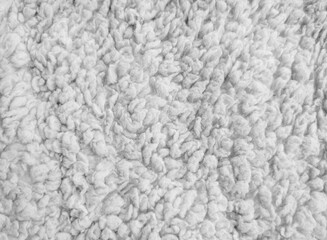 white Wool surface blanket carpet photographed in close-up in white sheep color feel the material texture