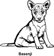 Puppy Basenji - Dog Breed, Puppy Breed Vector File, detailed vector
