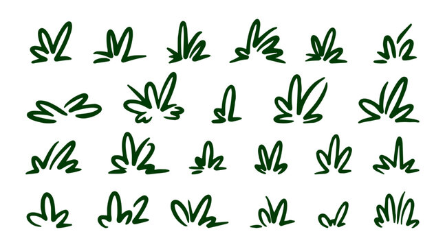 Handdrawn Grass Doodle Ink Pen Drawing Comic Element