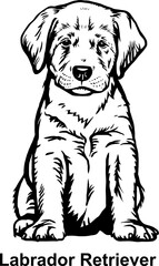 Puppy Labrador Retriever - Dog Breed, Puppy Breed Vector File, detailed vector