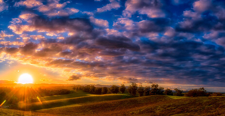 Obraz premium Brilliant sunset in local Arastradero Park. Hiking trails up and down hills lined with eucalyptus trees. 