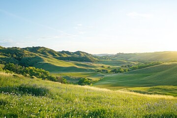 Fototapeta premium Admiring the sunset over wildflower-covered rolling hills serene landscape nature open field vibrant colors blending seamlessly