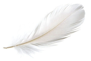 Obraz premium White Feather (Transparent Background).