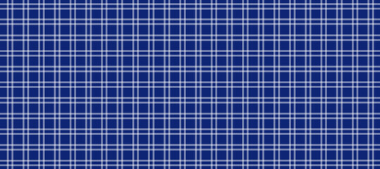 Blue and white plaid fabric texture background