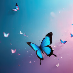 butterfly on blue background