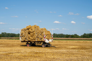 Anhänger mit Strohballen auf dem Kornfeld, Heuwagen, Erntewagen, Kamen. Nordrhein-Westfalen,...