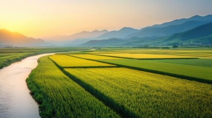 Fototapeta premium Wheat sustainability idea. Breathtaking view of golden rice fields under a vibrant sunset by a serene river.