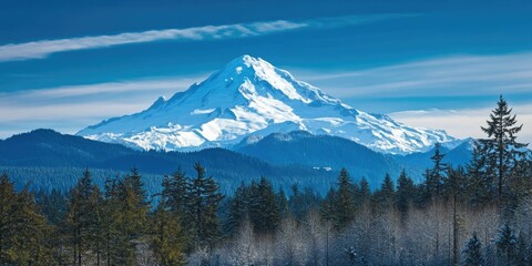 Majestic Mount Rainier View
