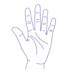 Hand gesture sketch. Counting with fingers. One, two, three, four and five. Palm. Index, middle, ring, little fingers and thumb