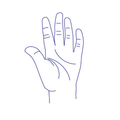 Kids hand gesture sketch. Counting with fingers. Five or hello sign. Palm. Index, middle, ring, little fingers and thumb