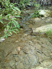 Corrientes de agua en el rio