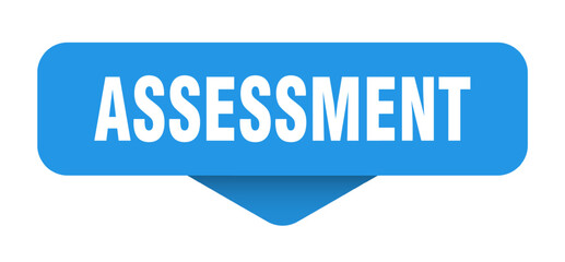 ASSESSMENT