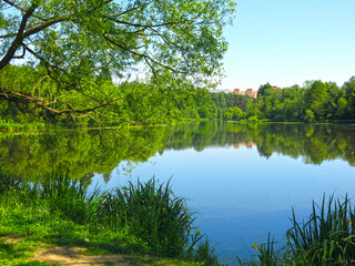 Fototapeta premium rural pond on a sunny summer day