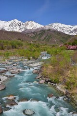 白馬村の春景色