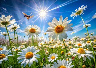 Panoramic Sunny Daisy Field with Busy Bees - High Resolution Nature Photography