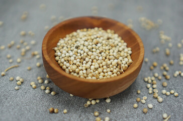 Coriander seeds or Biji Ketumbar in Indonesian, known by the scientific name Coriandrum sativum in a brown wooden patterned bowl isolated on a gray background