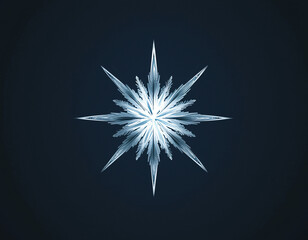 Frozen Snowflake