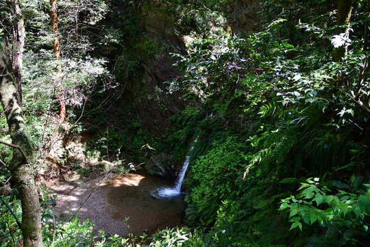 滝のある風景　宿谷の滝（埼玉県入間郡毛呂山町）