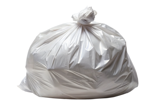 bag isolated on white