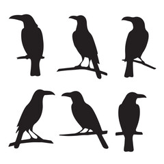 set of silhouettes of birds illustration with white white  backraund