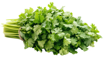 Obraz premium Fresh Green Cilantro Bundle on a White Surface Perfect for Culinary Uses and Food Photography.