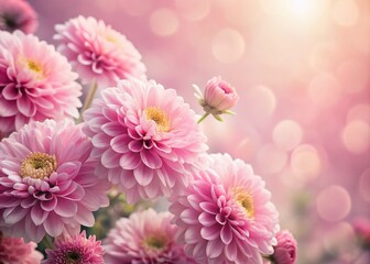 Fototapeta premium Pink Flower Wallpaper Background, Floral Desktop, Pretty Pink Blooms, Romantic Flower Image, Spring Blossom Wallpaper