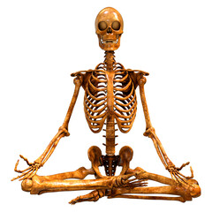 3D Rendering Human Skeleton on White