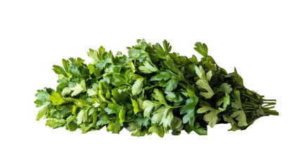Obraz premium Fresh Bunch of Parsley Displaying Lush Green Leaves Ideal for Culinary Uses and Healthy Cooking Inspiration.