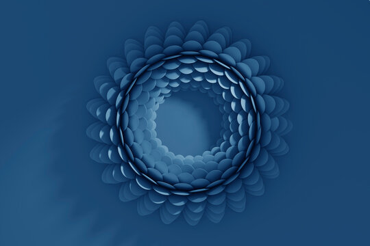 Circle of petals over blue background