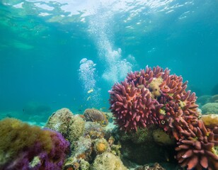 Naklejka premium Underwater volcanic vents releasing bubbles in coral reef ecosystem