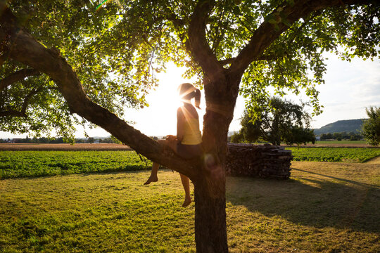 Silhouette of girl sitting on tree in summer at backlight