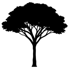 Tree black & white vector art, Acacia tree modern style silhouette illustration, Modern tree vector design
