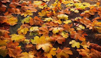 autumn leaves background