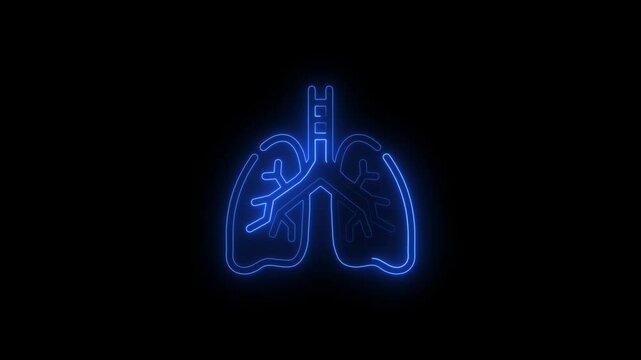 Neon glowing digital anatomy of human lungs purple and cyan color icon 4k animation. Glowing line Disease lungs icon isolated on black background.
