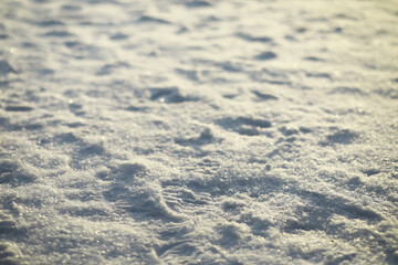 Close-Up of Sparkling Snow Texture at Sunset Capturing Winter Tranquility and Natural Beauty