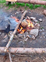 Burning campfire with wooden logs, bright orange flames and smoke rising among scattered rocks in a green forest clearing, surrounded by fallen tree branches and grassy ground during outdoor camping.