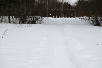 Winter Snow Path Leading to Wooden Fence in Serene Forest Landscape