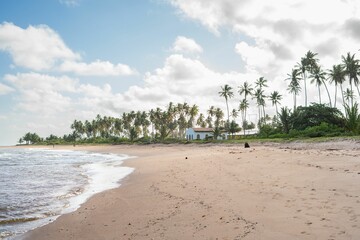 Tropical beach with palm trees and a chapel.
