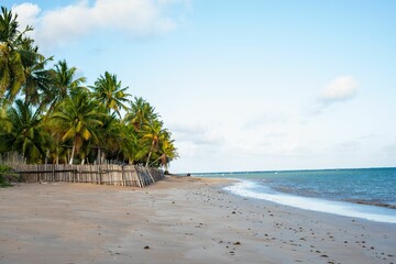 Tropical beach with palm trees and clear sky.