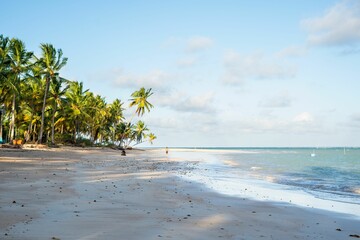 Tropical beach with palm trees and clear blue water.