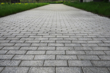 Empty Paved Pathway with Brick Tiles in Outdoor Setting Leading to Green Grass