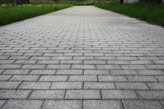 Empty Paved Pathway with Brick Tiles in Outdoor Setting Leading to Green Grass